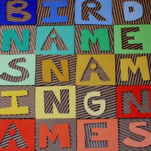 Bird Names - Naming Names
