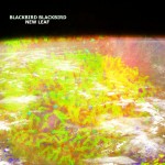 Blackbird Blackbird - New Leaf