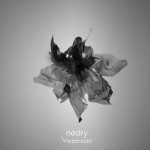 Nedry - Violaceae single artwork