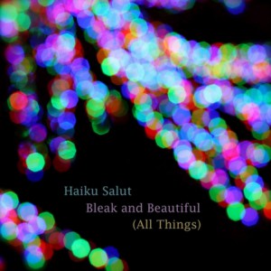 Haiku Salut -  Bleak And Beautiful (All Things)