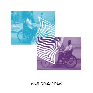 Red Snapper - Wonky Bikes