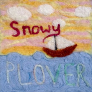 Snowy Plover
