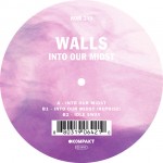 Walls - Into Our Midst
