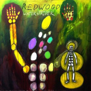 Waterstrider - Redwood