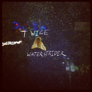 Waterstrider - Twice